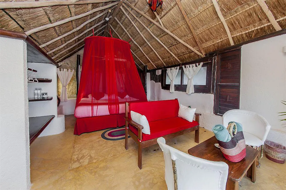 Mestizo Gallery Tulum Hotel